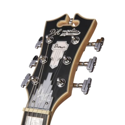 D'Angelico PREMIER BEDFORD DAPBEDBWMSTCTR Bob Weir Signature, Matte Stone image 9