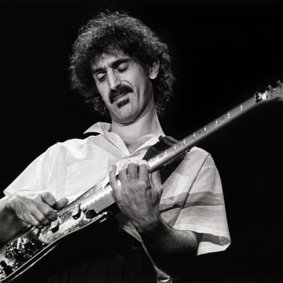 Frank Zappa's Mesa Boogie .50 Caliber Plus Head- image 4