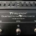 Traynor DH25H QuarterHorse Microamp 25-Watt Stompbox Guitar Amplifier