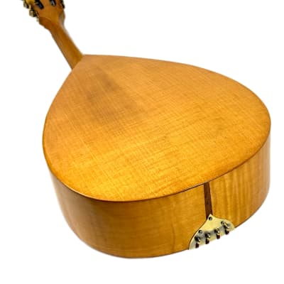 Concert Mandolin Flat-Back Emanuele Egildo N°840 from 1927 image 18