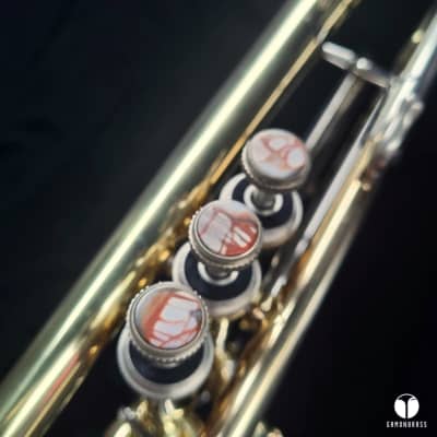 Cannonball Big Bell Stone Series 725 trumpet case mouthjpiece gamonbrass image 10