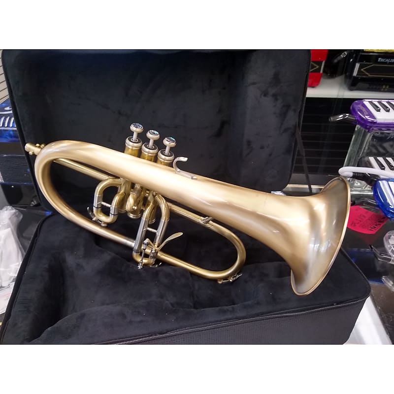 Schiller Studio Elite Flugelhorn Vintage Brushed Reverb