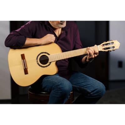Ortega Signature Series Thomas Zwijsen Acoustic-Electric Nylon Classical Guitar w/ Bag image 21