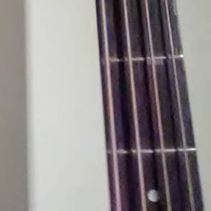 Gibson "Style-J" Mando-bass  1919. With Original Canvas Bag and "Orientation" Pegs! image 8