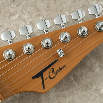 T'sギター　ハイエンドテレキャスター テレキャスター アーカイブ · T's Guitars
