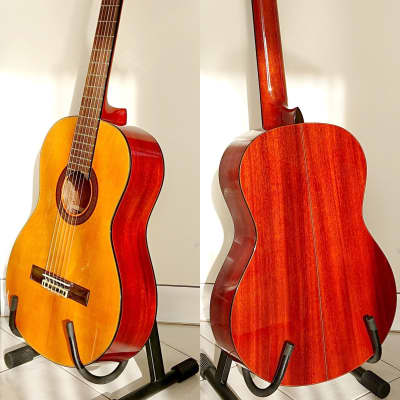 Aria AK 200 Reverb Italia