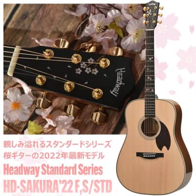 Headway [Special Price] Headway Standard Series HD-SAKURA'22 F, S/STD (SKNA) [Sakura Guitar 2022 Latest Model] Headway for sale