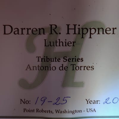 2019 Darren Hippner Torres Model Rosewood and Spruce Classical Guitar image 12