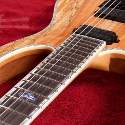 B.C. RICH Shredzilla Prophecy Exotic Archtop with Floyd Rose Left Handed Spalted Maple image 4