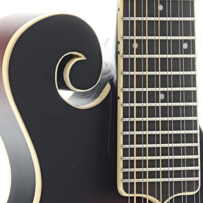 Gold Tone F-12 F-style 12-String Mando-Guitar with Pickup and Case image 3