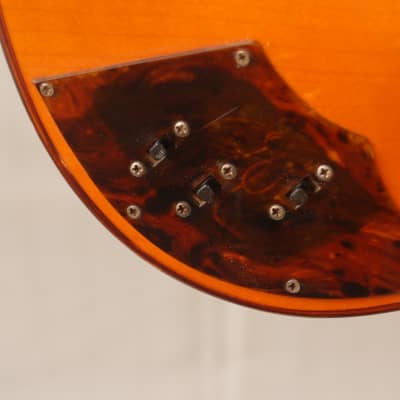 Framus Atlantik 5/110 – 1968 German Vintage Semi Acoustic Thinline Archtop Guitar Gitarre image 9