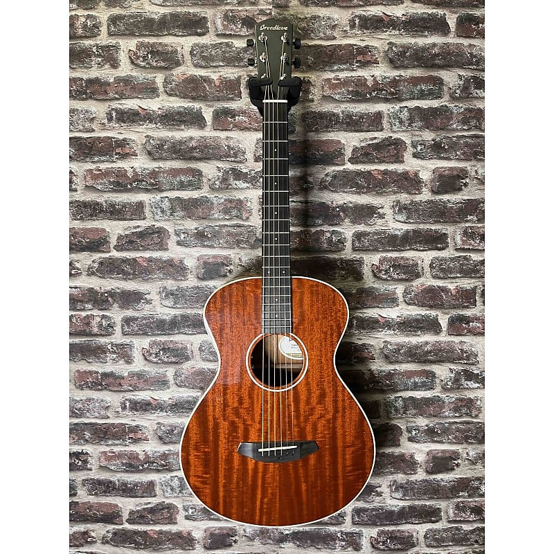 Breedlove Concert Ina Frontier LR BAGGS image 1