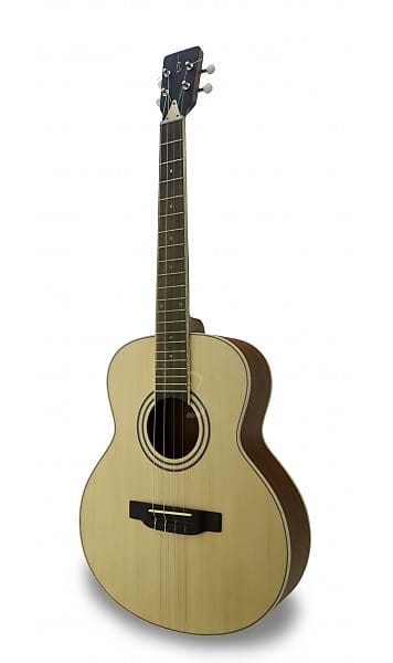 APC Carvalho TG-100 - Guitare acoustique Tenor image 1