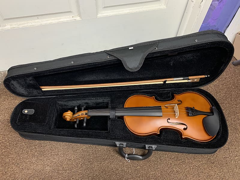 Palatino VN-300 VIOLIN outfit with CASE new - 4/4 Local | Reverb