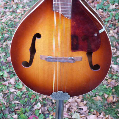 Harmony Monterey mandolin image 3