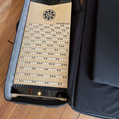 Marcodi Instruments Harpejji K24 | Reverb