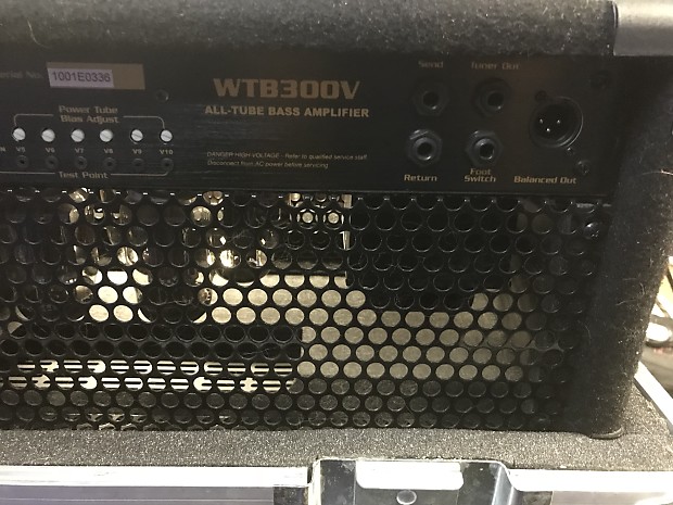 David Eden WTB300v All Tube Bass Amp with Flight Case and