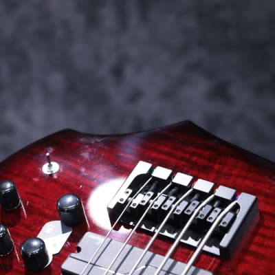 ESP LTD F-1005 See-Thru Black Cherry Sunburst 5-String Electric Bass #W23060302 image 14