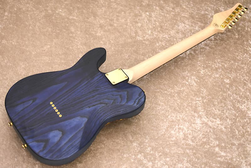 SCHECTER PS-PT-SP 日本製　テレキャスタイプ Schecter PS-PT-SP/OGR/M / 楽器屋BOW オンラインストア