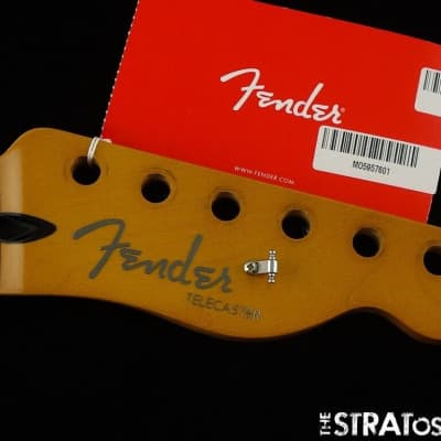 Fender Player Plus Nashville Telecaster Tele NECK 12" Radius C Rolled Pau Ferro image 1