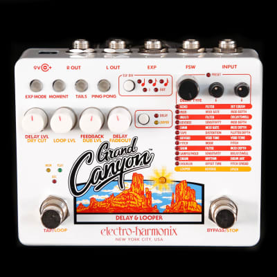 Electro-Harmonix GRAND Canyon Delay and Looper for sale