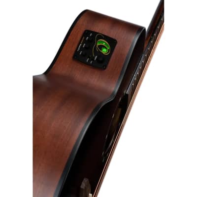 Ortega Deep Series Medium Scale Acoustic-Electric Bass image 11