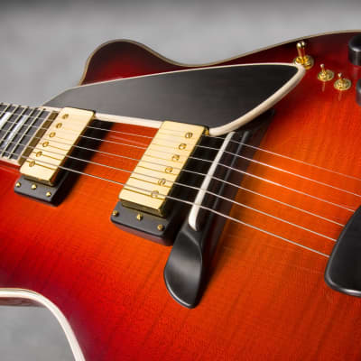 Schneider Guitars / The Phoenix / Burgundy Sunburst Nitro image 7