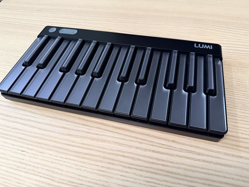 ROLI Lumi Keys MIDI Keyboard with Black Snap Case | Reverb