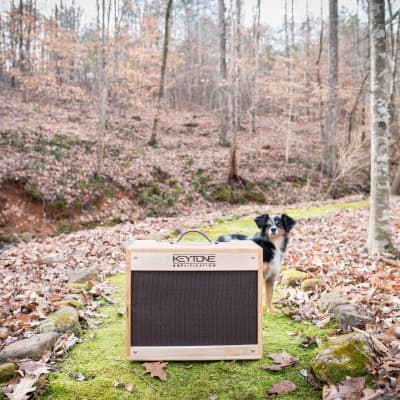 2019 Keytone Amplification The Ascent image 4
