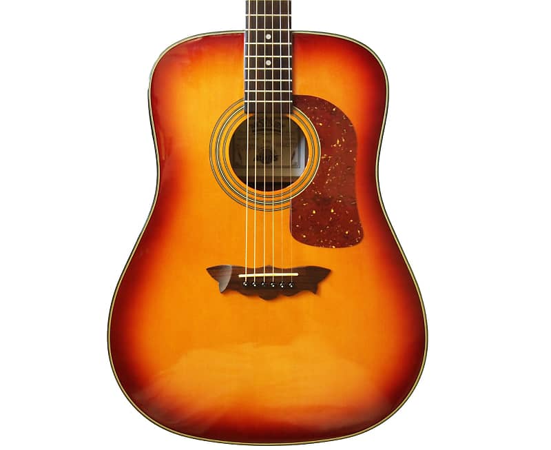 Washburn limited deals edition acoustic guitar