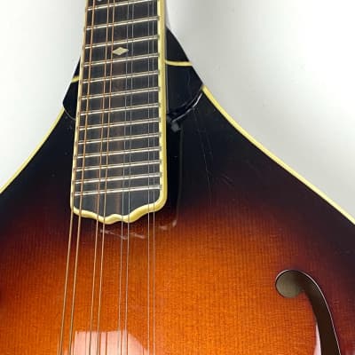 Weber "A-Style" Mandolin Absaroka Custom ordered W OHSC image 3