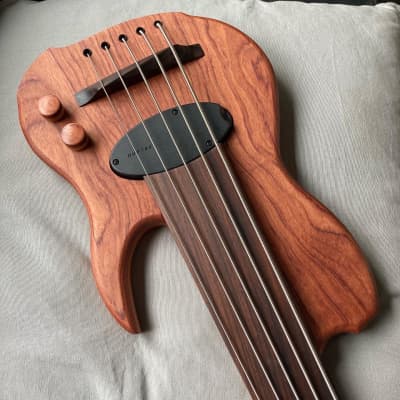 Letts WyRD mini bass with Delano theExtender 2022 image 5