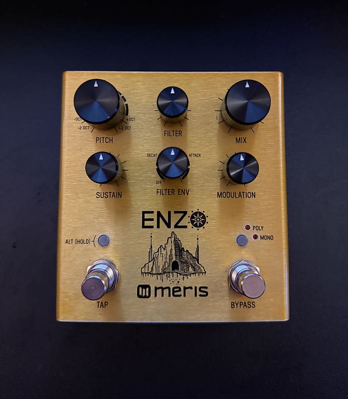 Meris Enzo