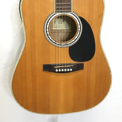 Esteban AL-100 Acoustic Guitars Natural for sale