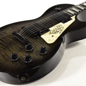 Joe perry gibson les paul signature sale