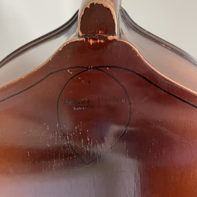 1955 American Standard upright bass image 11