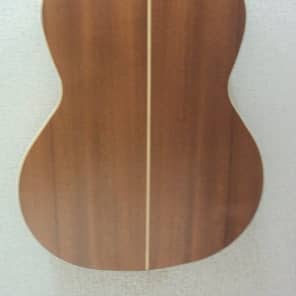 Kremona Artist Series Sofia SC-T Nylon String Classical Acoustic Guitar #8B image 5