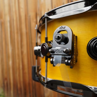 DW USA Collectors Series - 6.5 x 14" Pure Maple SSC/VLT Shell Snare Drum - Intense Yellow Satin Oil w/ Black Nickel Hdw. image 7