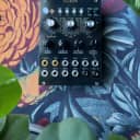 Mutable Instruments Clouds DIY with Parasites firmware & Black Panel