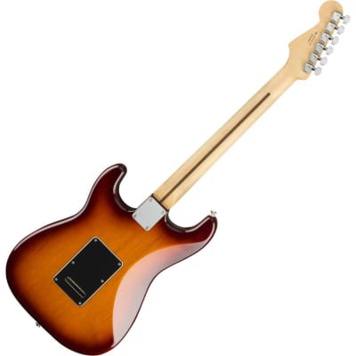 Fender Player Plus Top Stratocaster Electric Guitar, Tobacco Burst, Pau Ferro Fingerboard image 2