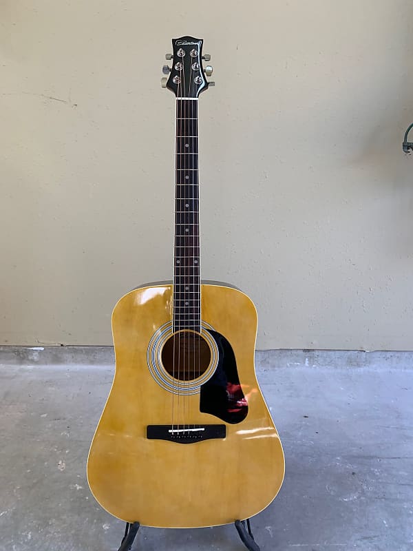 Silvertone Pro Series Acoustic Guitar Reverb