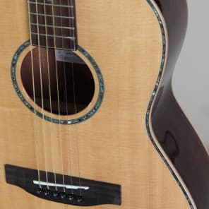 Takamine g406s new yorker top