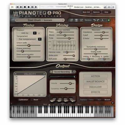 Pianoteq Steel Pans Add-On - Virtual Instrument (Download) image 2