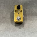 TC Electronic Ditto Looper Limited Edition 2010s - Gold