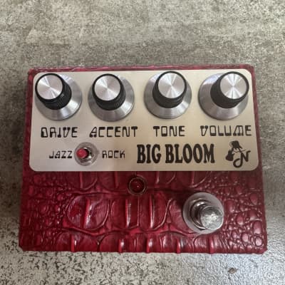 Used Amplified Nation Big Bloom Green Suede TSU19768 | Reverb