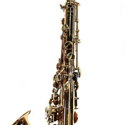 Elkhardt Tenorsax Super Deluxe image 8