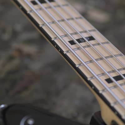 ESP E-II GB-5 String Bass - Black image 4
