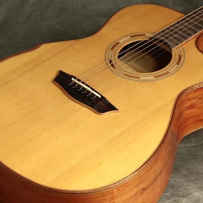 Washburn WCG66SCE Comfort Deluxe Series Solid Cedar Top Spalted 6-String Acoustic-Electric Guitar image 2