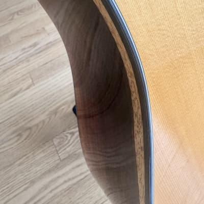 Santa Cruz Model D-PW Custom Cocobolo image 15
