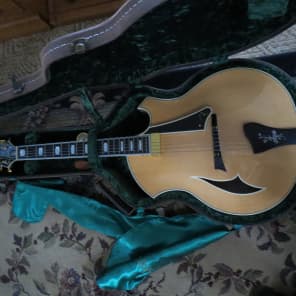 Big Opportunity-  Parker  PJ14 Hollow Body Jazz Guitar - never been owned 2009 Natural image 19